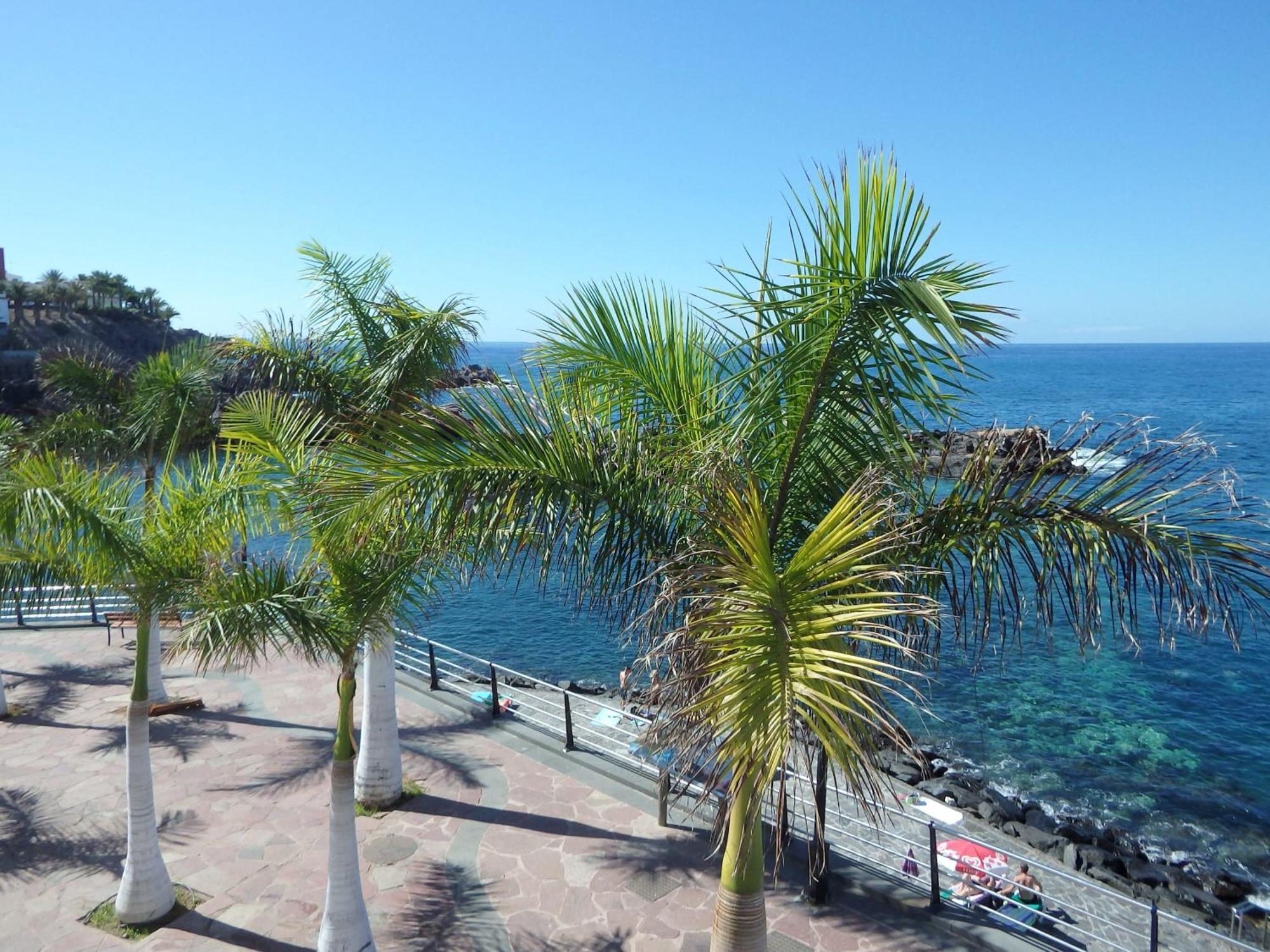 Finca Vinco II With Heated Pool Алькала Екстер'єр фото